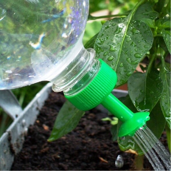  - אזל מהמלאי מארז גינון - פרחים ותבלינים